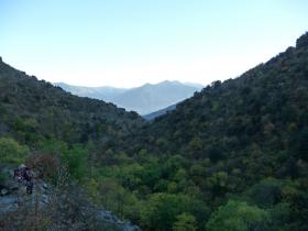 photo coins arrondis